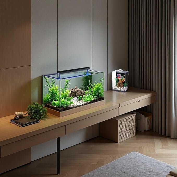 Betta Fish Tank with LED Light, 15x10x20 cm, Acrylic Aquarium with Cover and Black Wall Paper