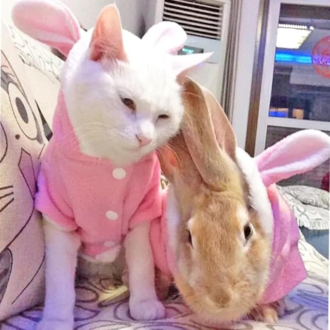 ANIAC Bunny Ears Cat Costume Plush Dog Hoodies with Pocket Sweater Cute Kitten Cat Clothes Warm Rabbit Ears Outfit with Hood for Small Dog Cat and Puppy (Pink-2, Medium)