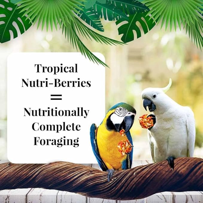 LAFEBER'S Tropical Fruit Nutri-Berries Pet Bird Food, Made with Non-GMO and Human-Grade Ingredients, for Macaws and Cockatoos, 3 lb