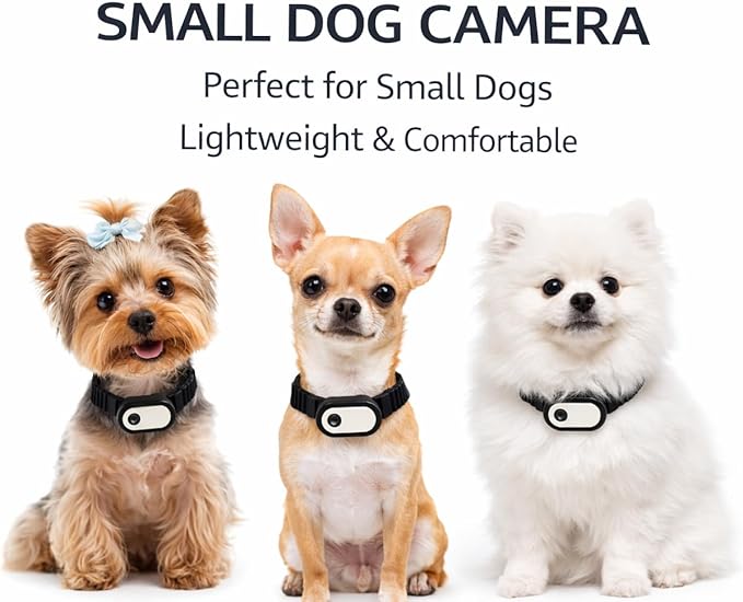 Dog Collar Camera 1080P HD – Dog POV Camera with 170° Wide Angle Lens, Mini Action Camera for Dogs, Video Recording with Micro SD Card, Lightweight Pet Body Cam (No WiFi)