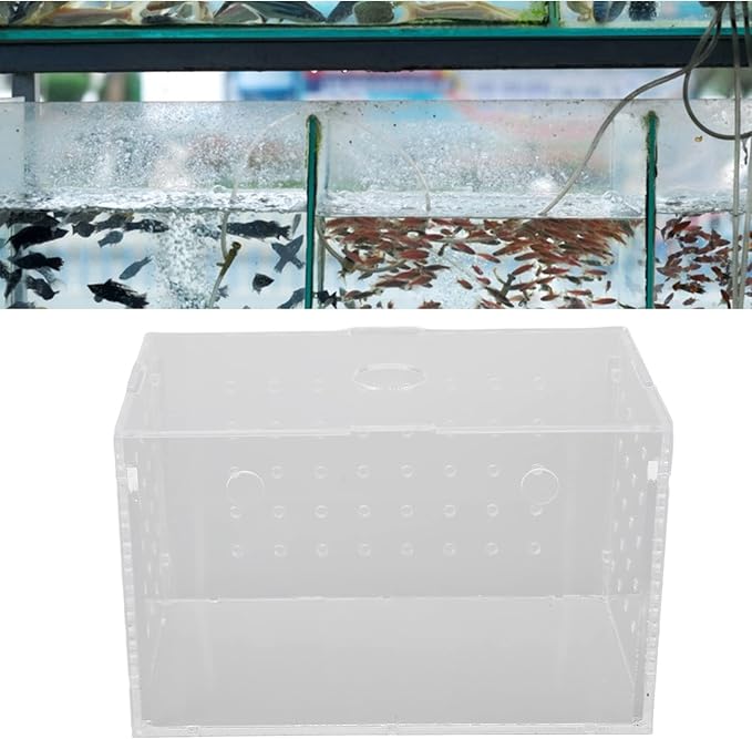 Fish Breeder Box, High Transparency Acrylic Hatchery Incubator Tank, Aquarium Fish Breeding Box with Suction Cups, Isolation Box for Baby Fishes Shrimp Clownfish, Easy to Observe a (14 * 8 * 9CM)