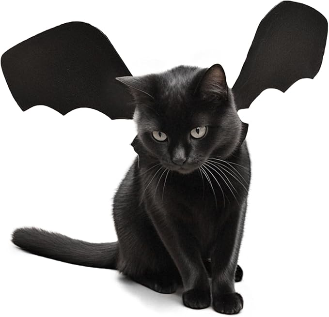 Batwing Cat Costume with Leash Hook - Soft Felt Kitten Costume, Adjustable Cat Puppy Clothes for Cosplay Party Walks (L)