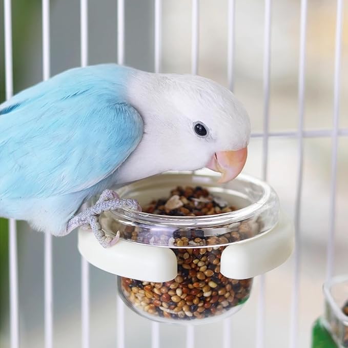 2 pcs Detachable Transparent Bowls with White Stand for Canary Finch Parrot Seed Water Feeder