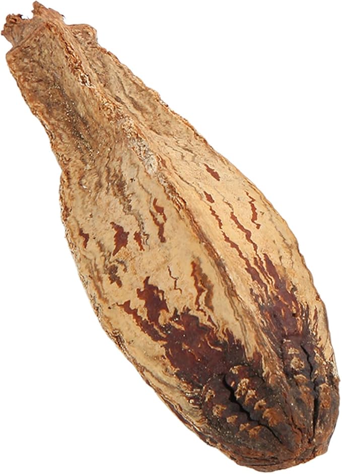 Parrot Chew Nuts, Natural Dried Nut Treats, 5 Bags - Boredom Relief, Mouth Sharpening, Home Decorative Pet Toy for Birds
