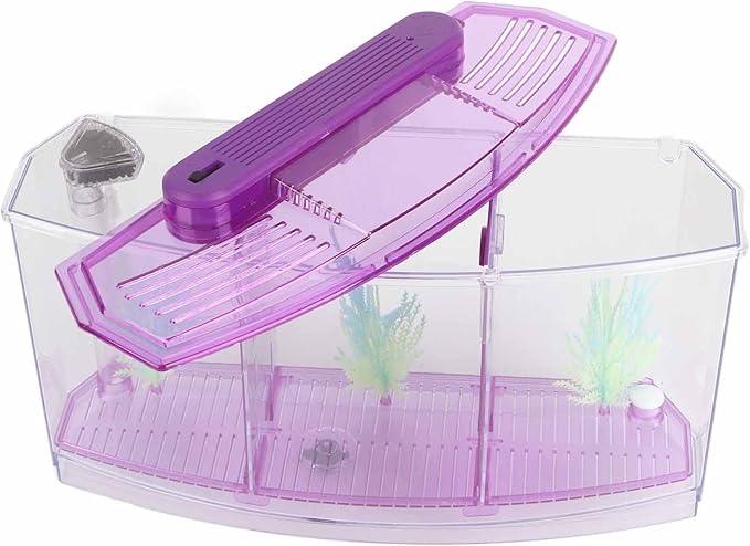 Fockety Breeding Fish Tank LED Acrylic, Three Divisions Isolation Box for Small Fishes with Artificial Grass, Water Change Valve and Filter Bubble Head with Activated Carbon (Violet)