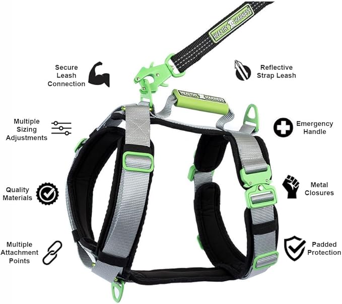 Ultimate Urban Premium Dog Harness - No Choke/Pull/Escape Dog Harness with Adjustable Padding, Heavy Duty, Easy On/Off, High Strength Buckles, Emergency Handle and 3 Connect Points (Green, XS)