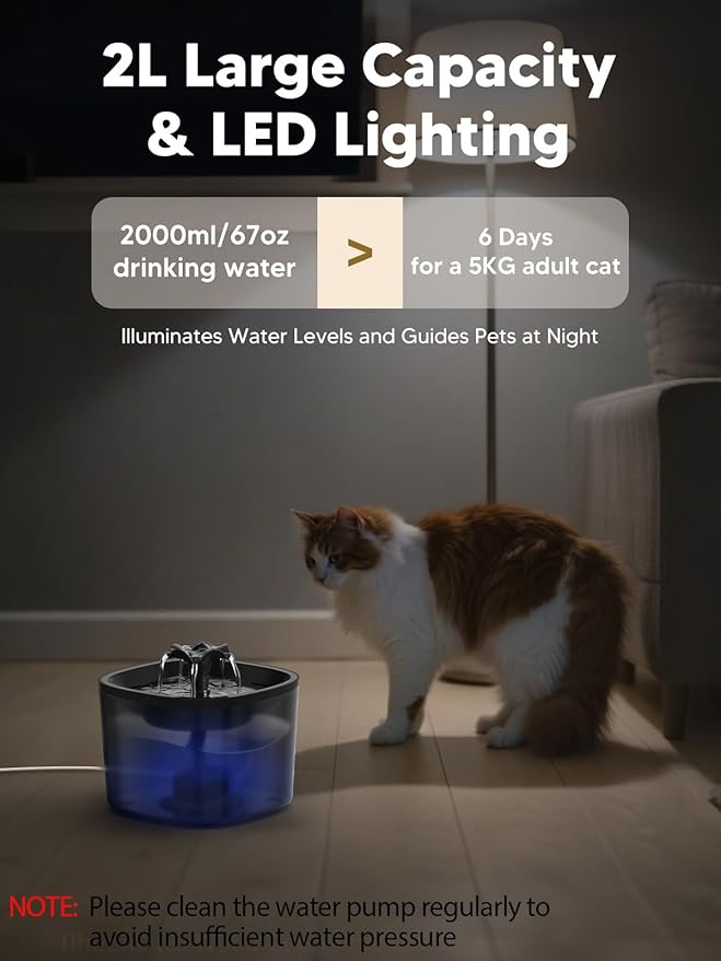 Automatic Cat Feeder and Water Dispenser Set, 5L/20 Cups Timed Cat Dry Food Dispenser, 2L Cats Water Fountain for Drinking with Filter, 10s Meal Call, 20 Portions 6 Meals Per Day