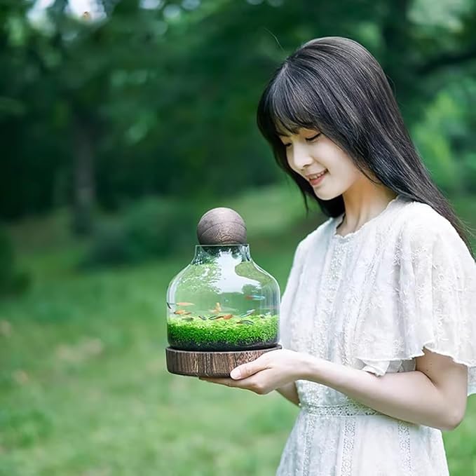 Glass Aquarium, Miniature Landscape Terrarium Glass Fish Tank with Wooden Base, Modern Betta Fish Tank, Small Aquarium for Home and Office Decoration,S
