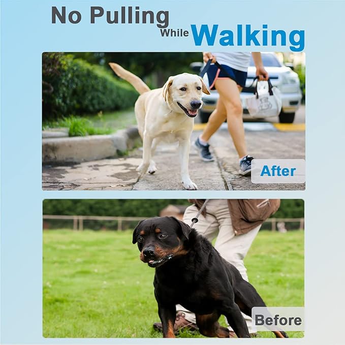 Dog Collar with Quick Release Buckle for Small Medium Large Dogs