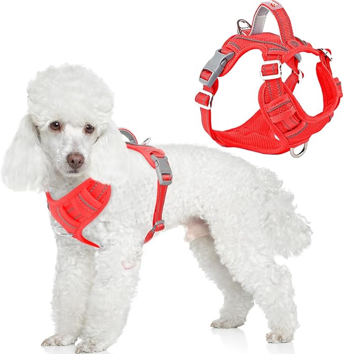 BARKBAY Dog Harness No Pull with ID Tag Pocket - Heavy Duty, Reflective, Easy Control for Large Dogs(Red,XS)