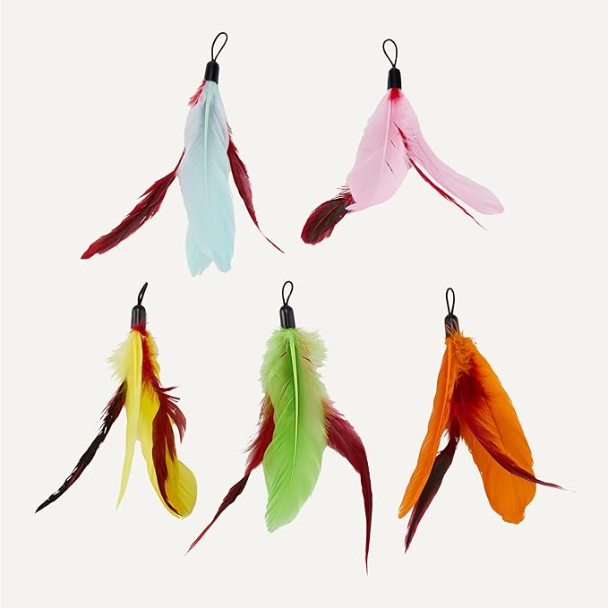 Amazon Basics Cat Feather Toy Kit with 2 Stick and 10 Refills (in 2 Styles)