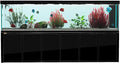 Aqua Dream 500 Gallon Black Aquarium Kit with Stand & Sump Filtration System - Commercial Reef Fish Tank with Ultra-Clear Tempered Glass