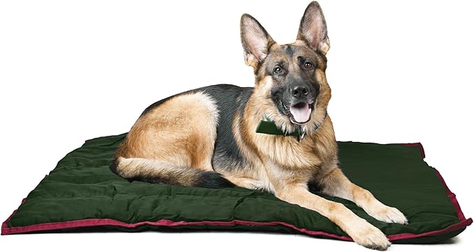 Jeffers Pet Comfort Dog Pillow, Medium 25" x 33", Dark Green – Machine Washable Dog Bed for House, Sofa, Crate & Travel – Poly Cotton Shell, Winter Warmth, Soft, Comfy, Durable, Top Pet Bedding