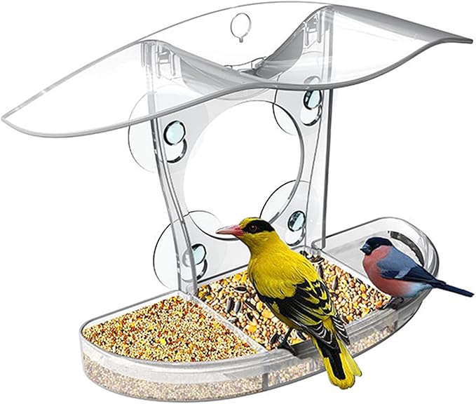 Large Capacity Bird Feeders Hygienic Feeding Bowl Water Drink for Small Feeding Transparenst Bird