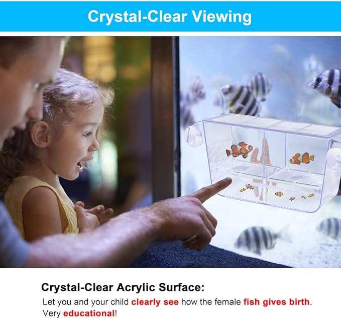 Fish Breeding Box Aquarium Holding Tank Transparent Fish Isolation Box Acclimation Hatchery Incubator Breeder for Betta Shrimp Clownfish Guppy(Size L)