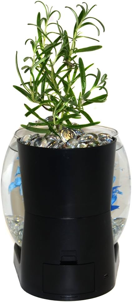 Elive Betta Fish Bowl / Betta Fish Tank with Planter, Small 0.75 Gallon Aquarium, LED Light Timer, Black