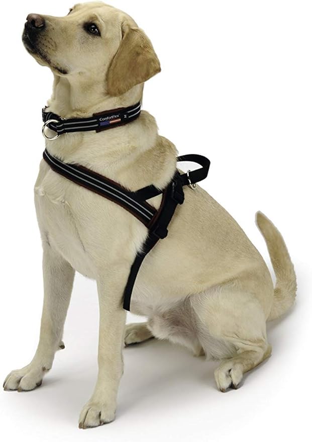 ComfortFlex Sport Dog Harness – No-Choke, Fully Padded, Non-Chafing Harness with Control Handle – Reflective, Lightweight, Adjustable for Active Dogs - Petite, Berry
