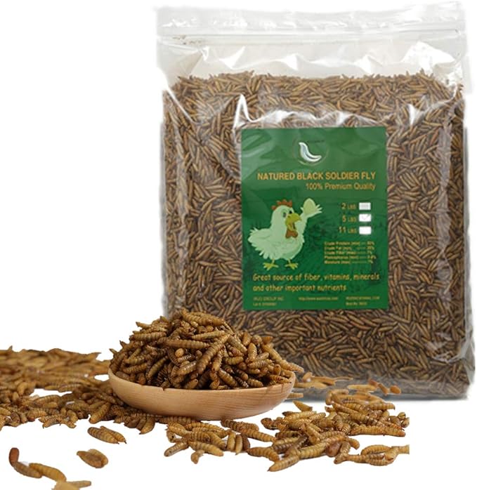 HANDPOINT 20LBS Black Soldier Fly Larvae Superior to Dried Mealworms for Chickens - Non-GMO - Treats for Birds Chickens Hedgehog Hamster Fish Reptile Turtles (20LB)