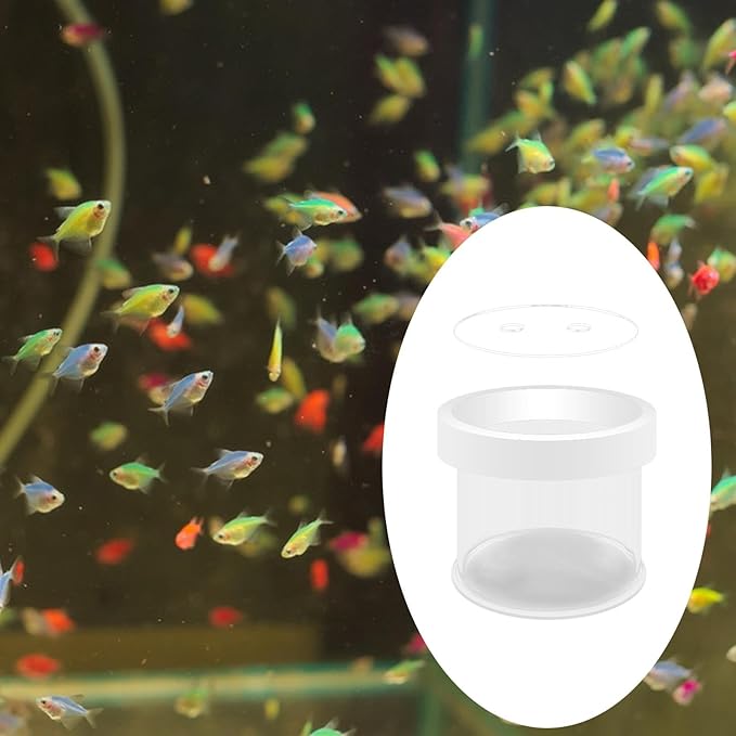 Fish Breeder Box Fish Tank Hatchery Floating Acrylic Transparent Fine Mesh Bottom Isolation Box Incubator for Baby Fish Betta, 8cmx10cm