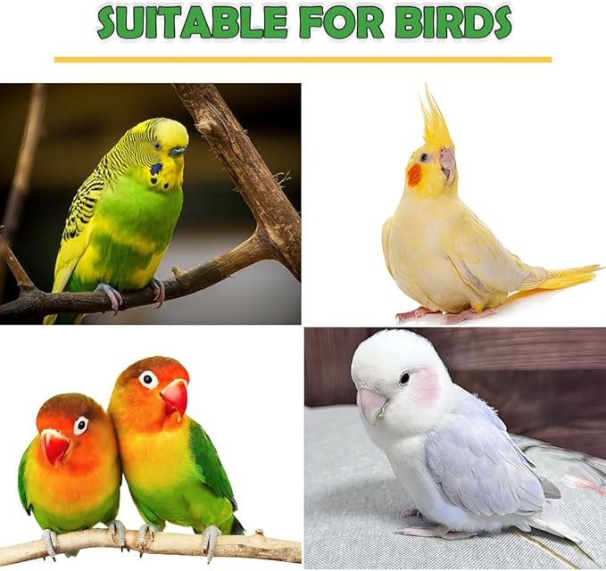 2 Pack Bird Feeding Cup Plastic Feeder with Clamp Holder for Small Size Birds Parakeet African Greys Conure Cockatiels Budgies Chinchilla
