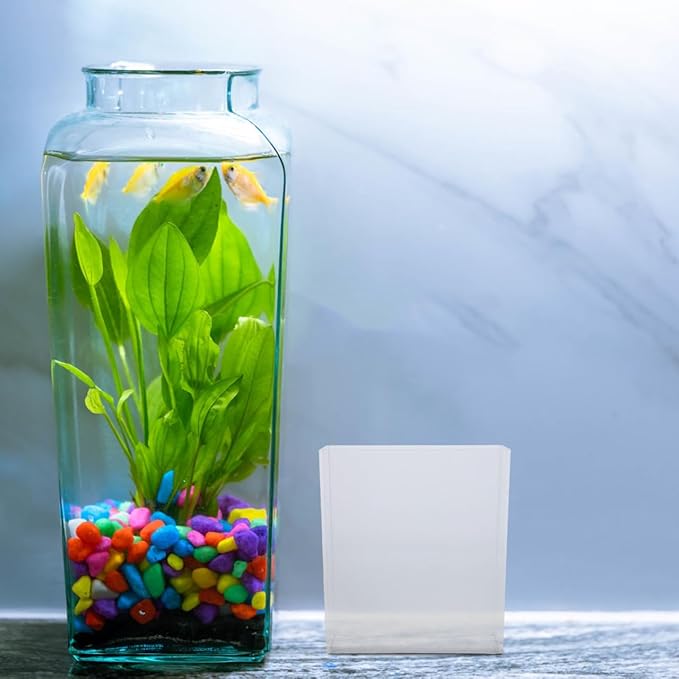 Kisangel Portable Transparent Fish Viewing Box 4.92X4.33X1.49In Lightweight Betta Fish Tank Small Aquarium Breeding Container for Desktop Observation and Care