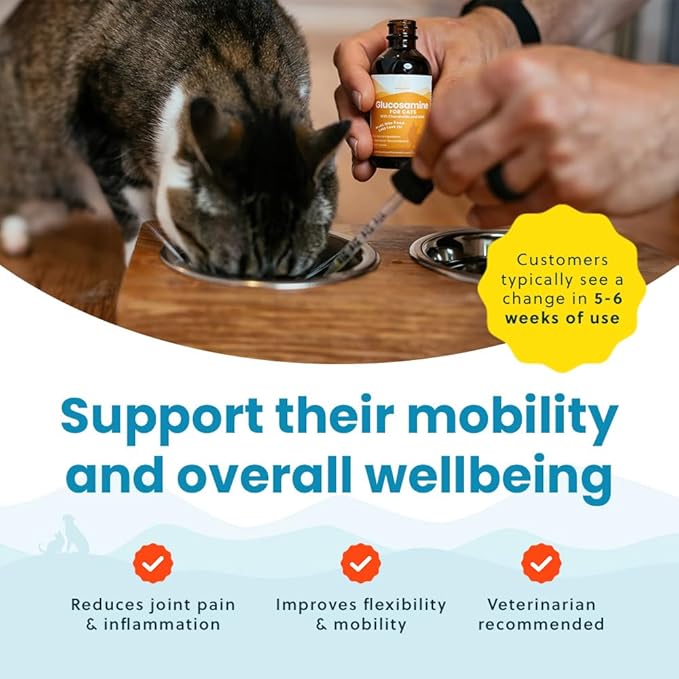 Paramount Pet Health Liquid Glucosamine Chondroitin MSM for Cats, Hip & Joint Support Supplement, Helps Maintain Mobility and Flexibility, Senior Cat Glucosamine Drops for Daily Joint Care, 2 oz