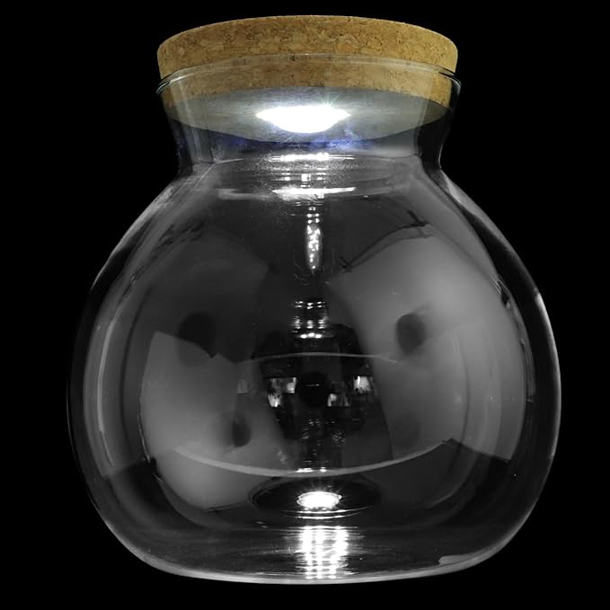 6.29X5.90X5.90 Inch Led Light Ecological Fish Tank Bottle Glass Micro Aquarium DIY Micro Landscape for Home Office Decoration