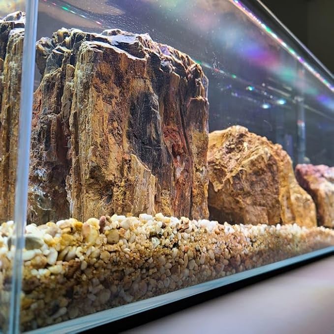 Lifegard Aquatics Ultra Low Iron Glass Bookshelf Aquarium, 22 Gallon, 35.82" L X 11.81" W X 11.81" H