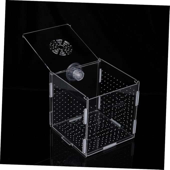 Mikikit Transparent Acrylic Fish Tank Breeding Isolation Box Multifunctional Hatching Incubator for Guppies Bettas Fish with Suction Cup Design