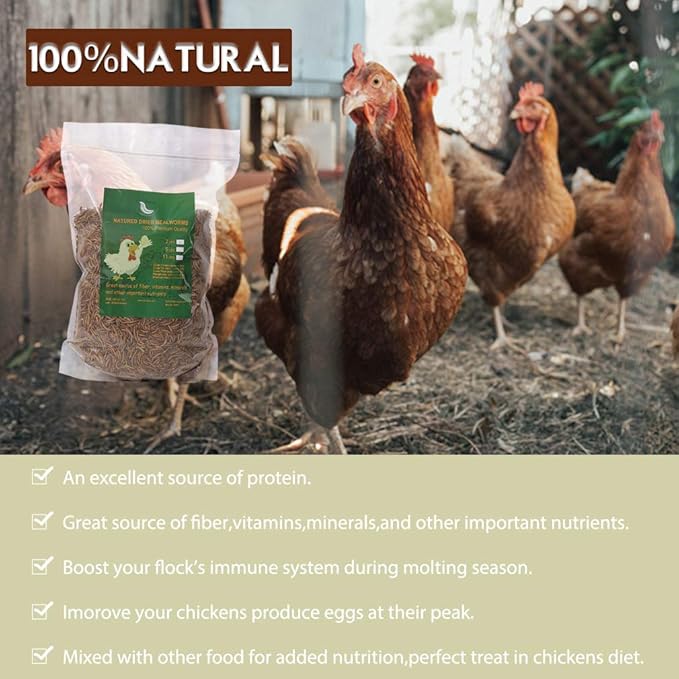 Non-GMO Dried Mealworms 22LB,100% Natural Large Size No Moisture,Treats for Birds Chickens Hedgehog Hamster Fish Reptile Turtles