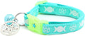 Wicca Cat Collar with Occult Charm & Bell | Witch’s Familiar Cat Collar | Witch Kitten Collar Charms | Glow in The Dark | Safety Breakaway Collar (Small(10lbs & Less), Aqua)