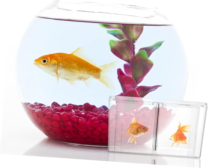 Acrylic Fish Breeding Box for Betta and Fish Breeding Tank Isolation Features for Hatching Aquariums Easy to Clean and Maintain