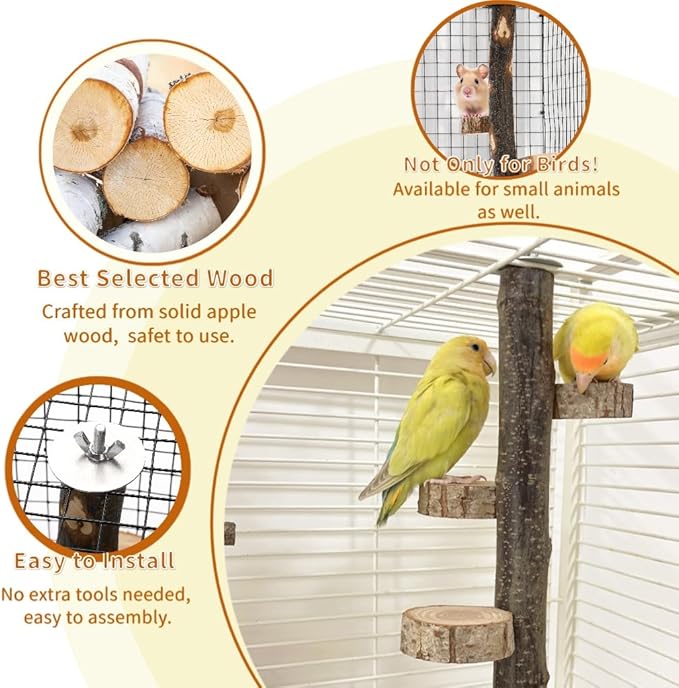 Natural Wood Bird Perch, 12 Inch Parrot Perch Stand for Cage, Small Animals Hanging Perch & Platforms for Parakeet Parrots Cockatiel, Conure, Budgie, Macaw, Bird Cage Accessories