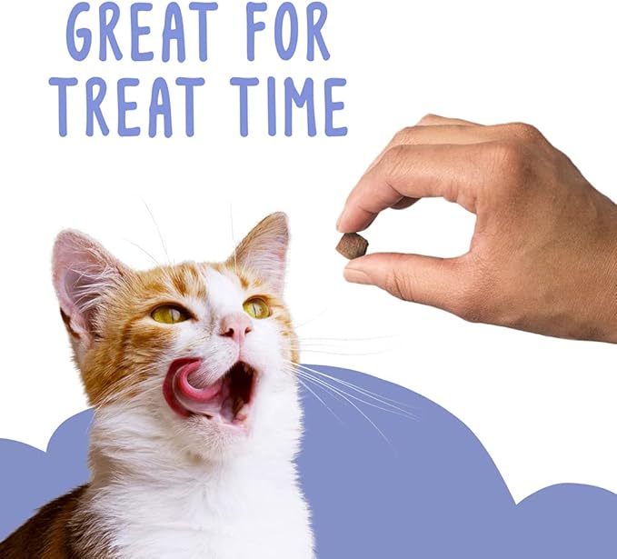 Friskies Party Mix, Gravy-Licious Crunch, Chicken and Gravy Flavored Treats for Cats, Resealable Pouch, 2.1 Ounce Each (Pack of 2)