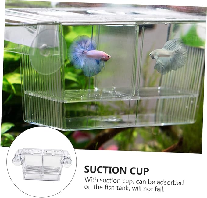 BESPORTBLE Floating Fish Incubation Box Observation Fry Breeding Tank Suction Cup for Aquarium