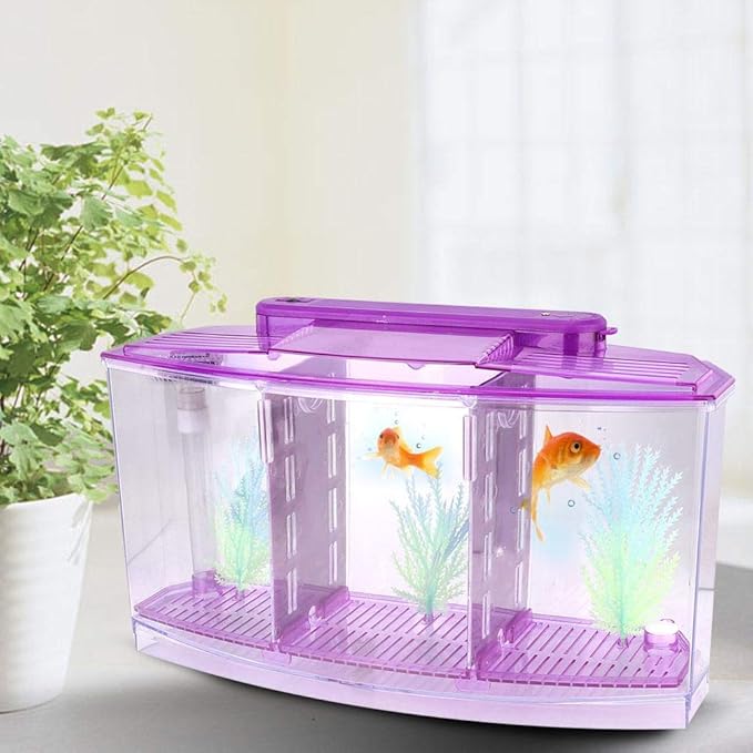 Three Areas Acrylic Small Aquarium, Mini Fish Tank, for Betta for Small Fishes(Purple)
