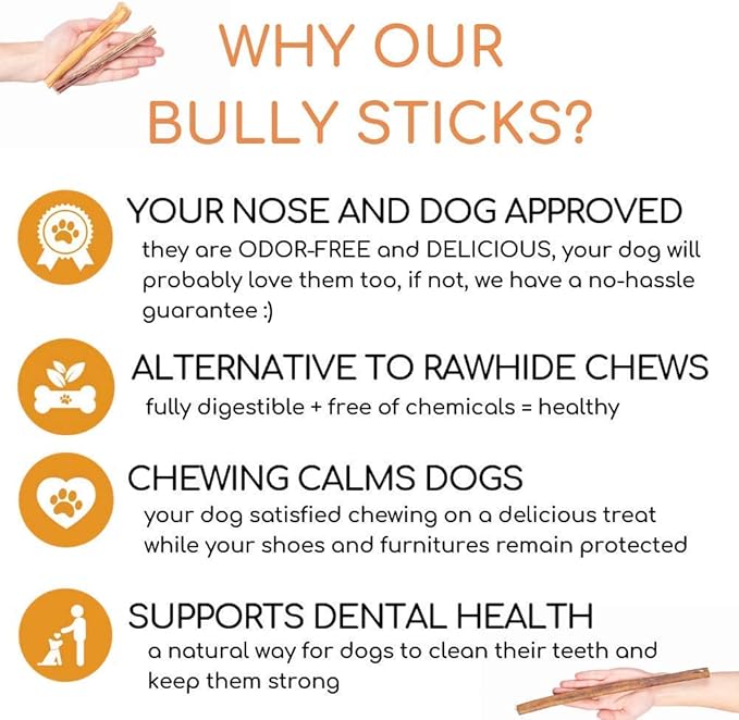 Best For My Pets 12‑Inch Odor‑Free 100% Beef Bully Sticks, 8 oz Bag – Long‑Lasting Single‑Ingredient Dental Dog Chews for Medium & Large Breeds, USA‑Inspected Rawhide Alternative