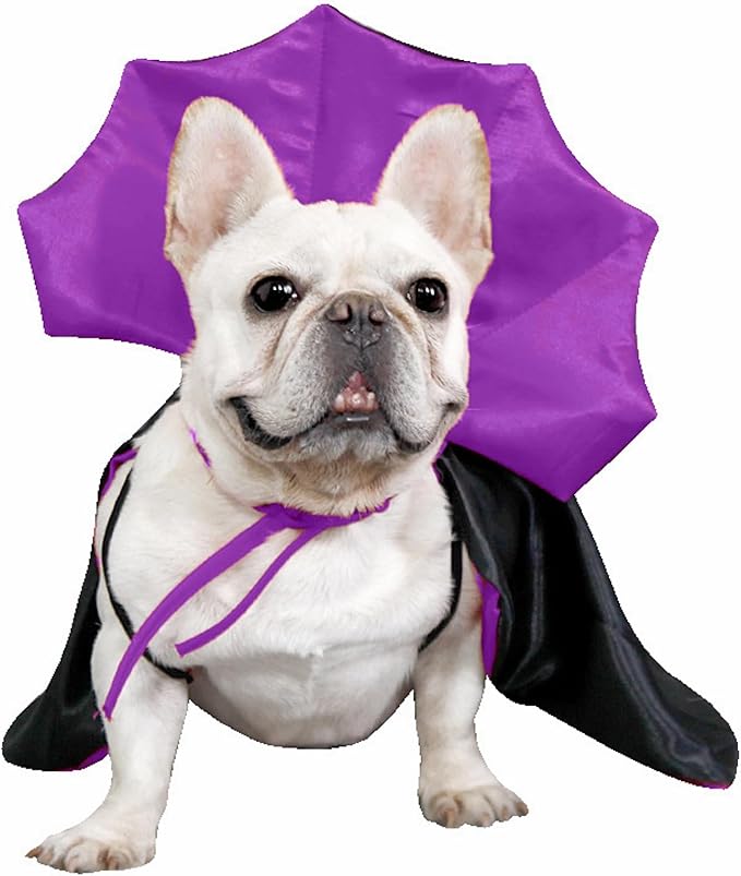 Halloween Pet Costume, Halloween Cat Vampire Cloak Costume, Halloween Pet Accessories Costume Outfit Decor Cowl for Small Cats Dogs Animals Halloween Party Pet Cosplay