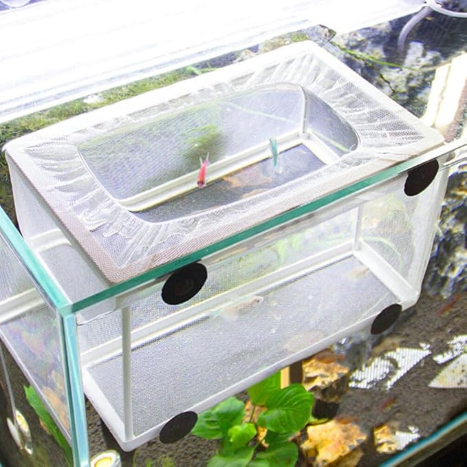Fish Box- Aquarium Hatchery Net, Fish Breeding Box with Suction Cup for Aquarium Fish Tank (Size L)