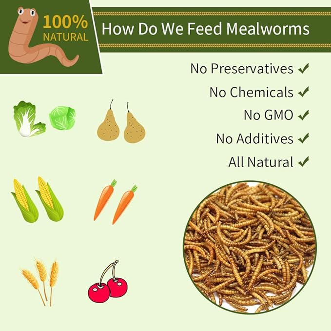 DIIG 10LB 100% Natural Non GMO Dried Mealworms - High Protein Treats for Birds Chickens, Ducks