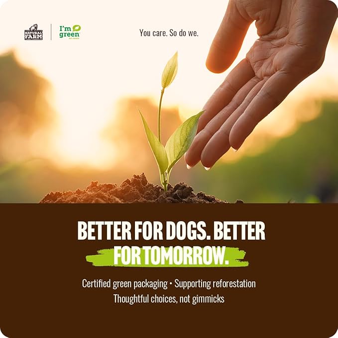 Natural Farm Odor Free Bully Sticks (4 Inch, 10 Pack) for Small & Medium Dogs - 100% Beef Chews for Pups, Non-GMO, Grain-Free, Fully Digestible Long Lasting Dog Treats