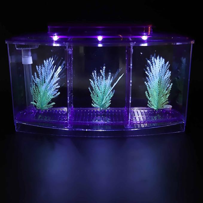 Small Fish Isolation Fish Tank, LED Acrylic Aquarium Fish Tank, Transparent Fish Isolation Box with 2 Isolation Plates for Small Fishes Betta Shrimp Guppy (Lightpurple)