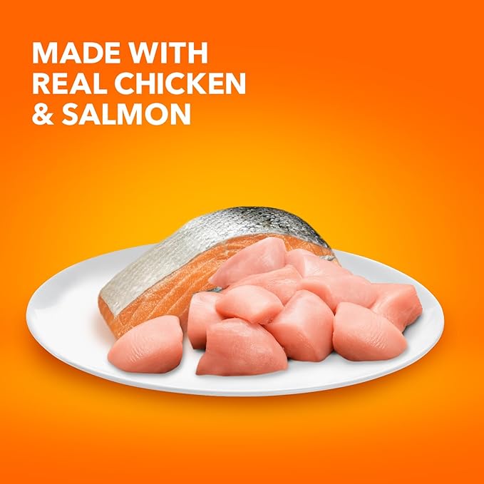 IAMS Healthy Enjoyment Dry Cat Food Chicken & Salmon Recipe, Cat Food Dry Recipe, 15 lb. Bag