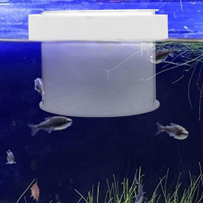 VANZACK Acrylic Fish Breeding -Sized Isolation Tank for Fry Acrylic Separator for Aquarium Fish Breeder Improved Survival Rate