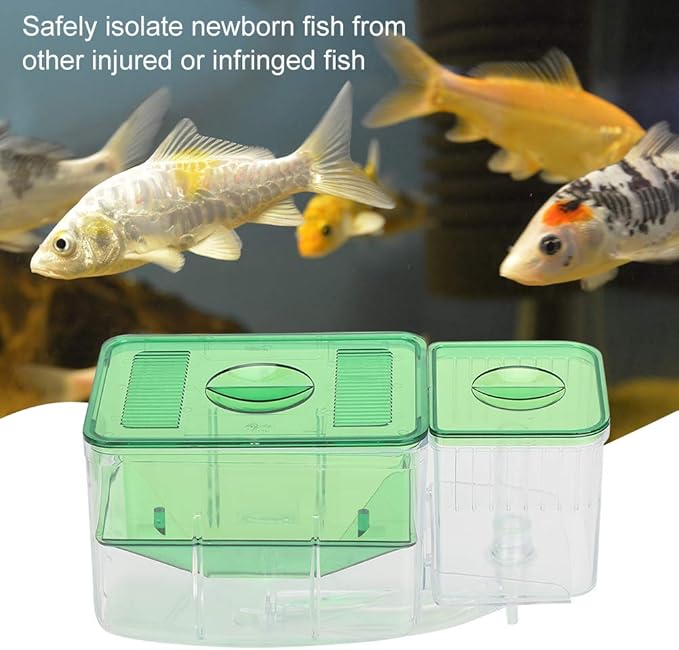 Fish Breeding Box, Transparent Isolation Box Acclimation Hatchery Incubator for Baby Fish Betta Shrimp Clownfish and Guppy