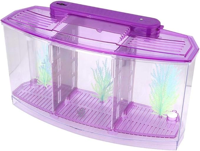 Three Areas Acrylic Small Aquarium, Mini Fish Tank, for Betta for Small Fishes(Purple)