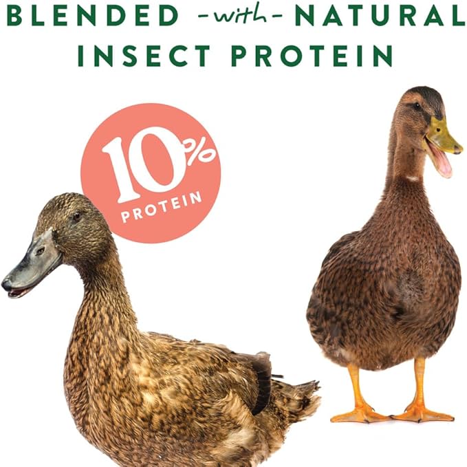 Manna Pro Duck Discs, Floating Duck Treats with 10% Protein, Made with Black Soldier Fly Larvae, Kelp & Alfalfa, Treats for Ducks & Waterfowl, 16 oz