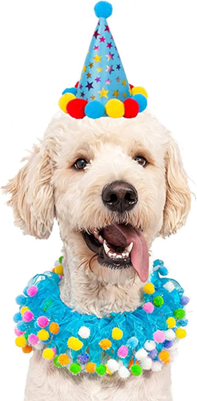 2-PC Pet Birthday Party Costume-Puppy Blue Adjustable Collar Saree with Colorful Balls and Cute Star Hat Soft Costume Accessory for Dogs Cats