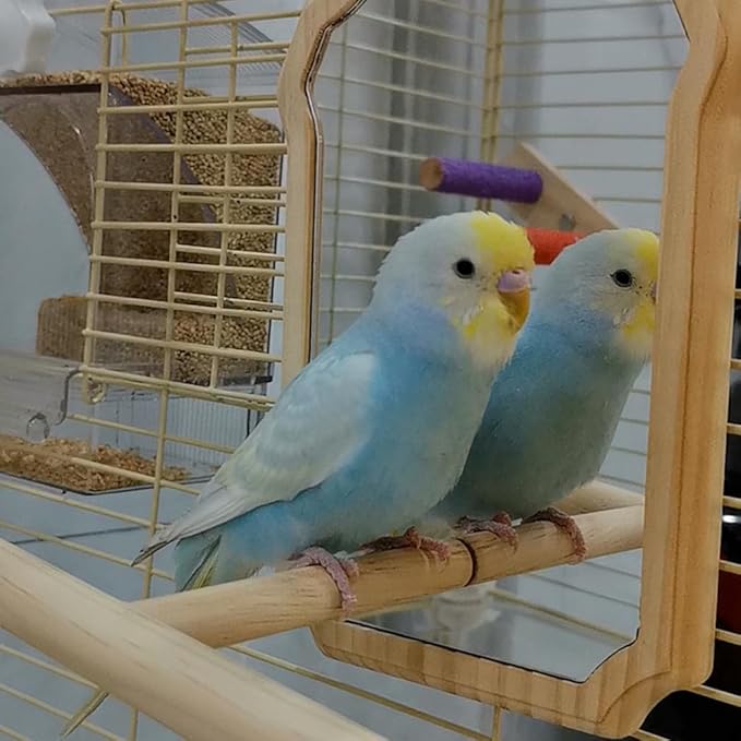 Mirror with Perch for Parrots, Wooden Standing Bird Mirror Toy Chewing Perch with Reflective Mirror for Cockatiel, Lovebird, Parakeet, Bird Cage Accessories ﻿ (Large Mirror 21cm)