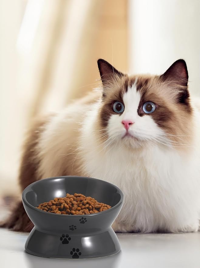Y YHY Raised Cat Food Bowl, Ceramic Elevated Bowl, Protects Cat's Spine, Anti Vomiting, Backflow Prevention, Grey